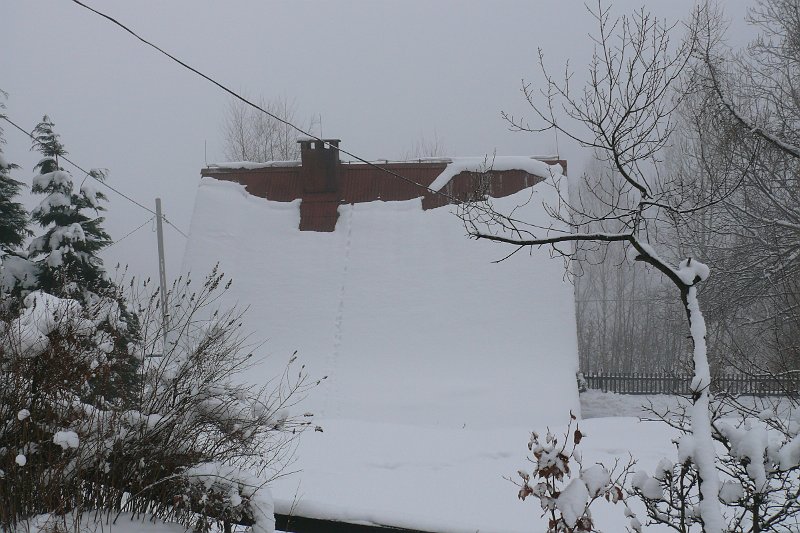 P1180007.JPG