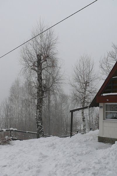 P1180016.JPG