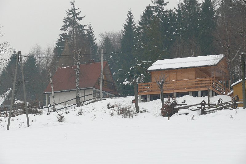 P1180141.JPG