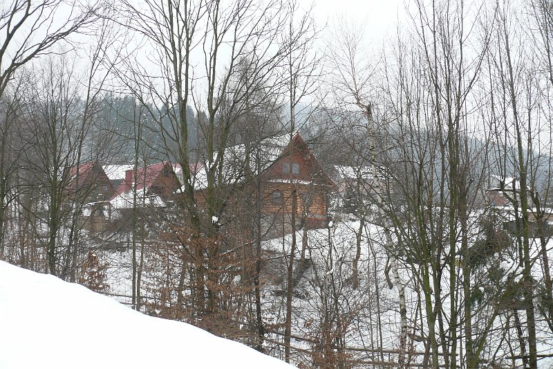 P1180143.JPG
