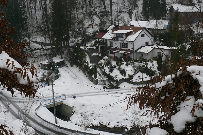 P1180145.JPG