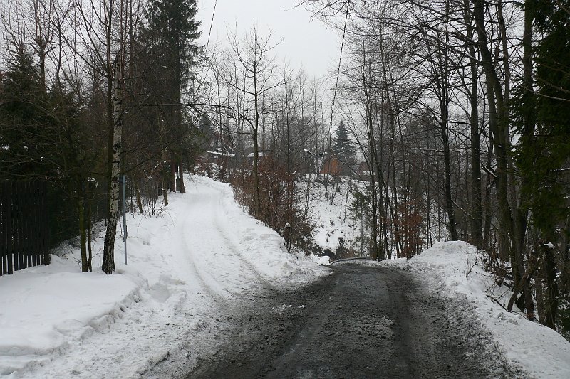 P1180149.JPG