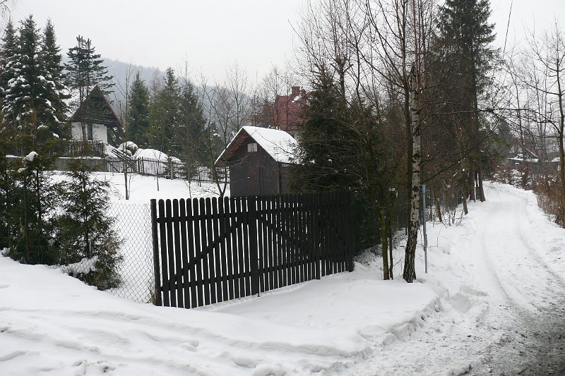 P1180150.JPG