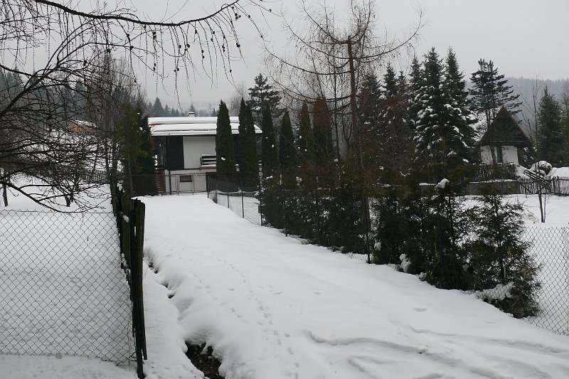 P1180151.JPG