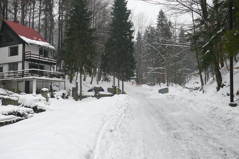 P1180153.JPG