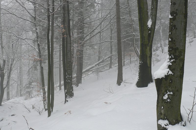P1180343.JPG