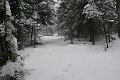 P1180279