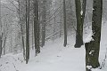 P1180343