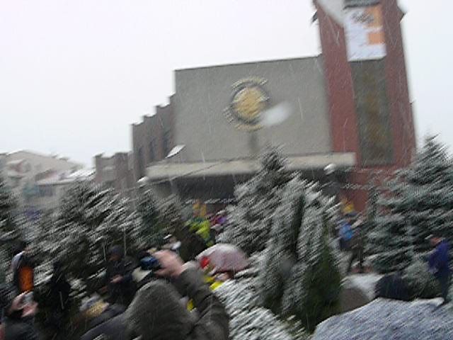P1170753.JPG