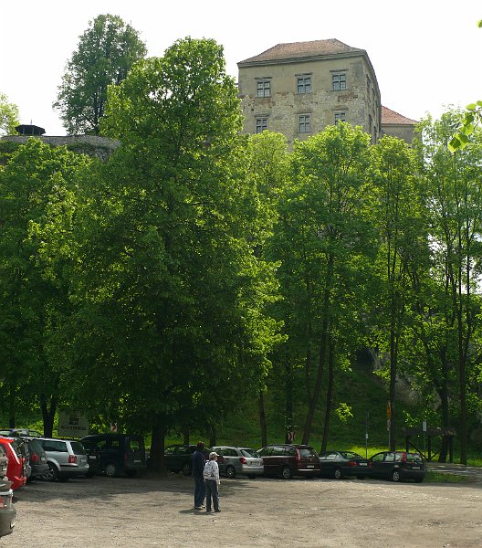 P1180604.JPG