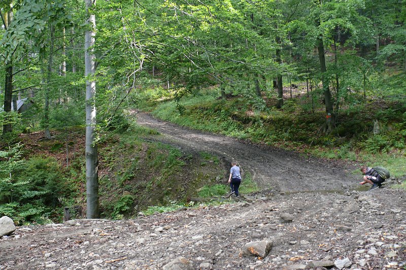 P1190259.JPG