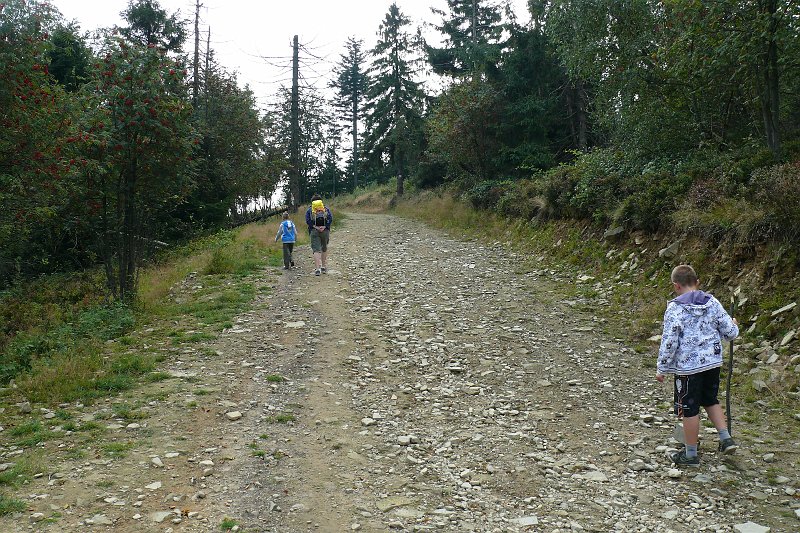 P1190441.JPG