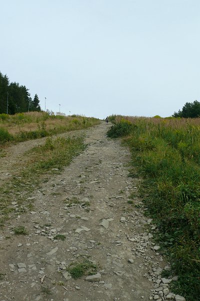P1190569.JPG