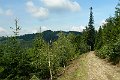 P1190295