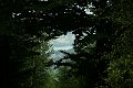P1190336
