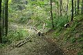 P1190372