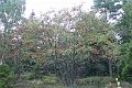 P1190438