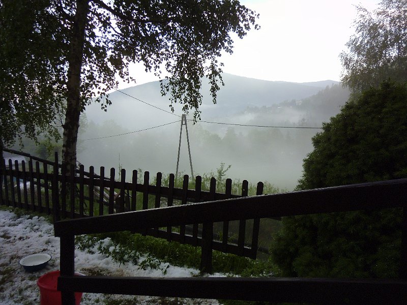 P1010385.JPG