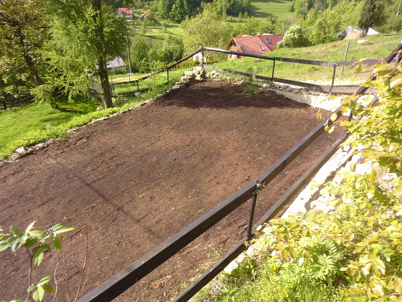 P1010313.JPG