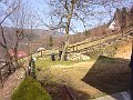 P1010219