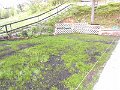 P1010286