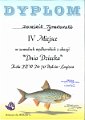 Dyplom